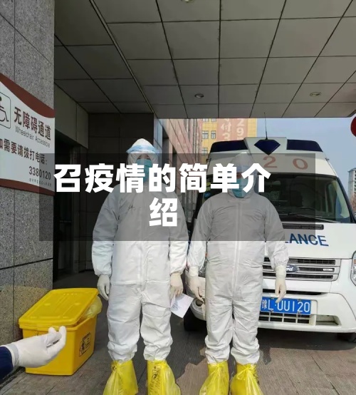 召疫情的简单介绍-第2张图片