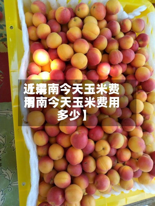 近来
【渭南今天玉米费用
渭南今天玉米费用
多少】-第2张图片