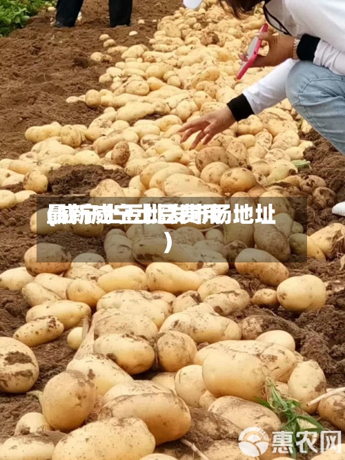 最新威宁土豆费用(威宁土豆批发市场地址)-第2张图片