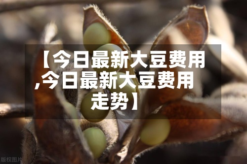 【今日最新大豆费用,今日最新大豆费用走势】