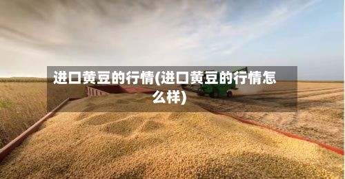 进口黄豆的行情(进口黄豆的行情怎么样)