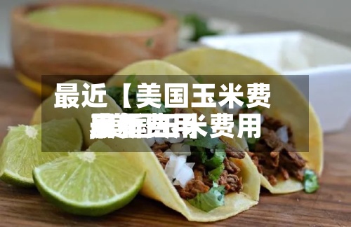 最近【美国玉米费用最新费用,美国玉米费用最新费用表】