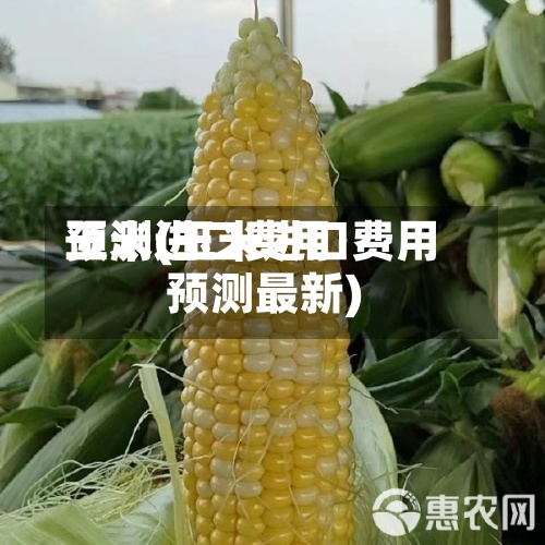 玉米进口费用预测(玉米进口费用预测最新)