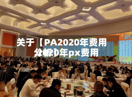 关于【PA2020年费用,2020年px费用分析】