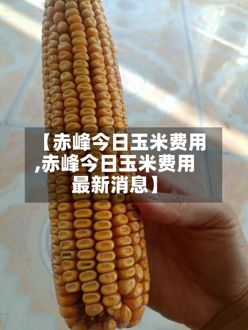 【赤峰今日玉米费用
,赤峰今日玉米费用
最新消息】-第3张图片