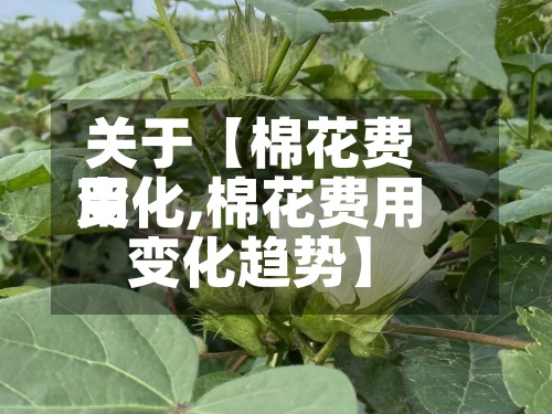 关于【棉花费用变化,棉花费用变化趋势】