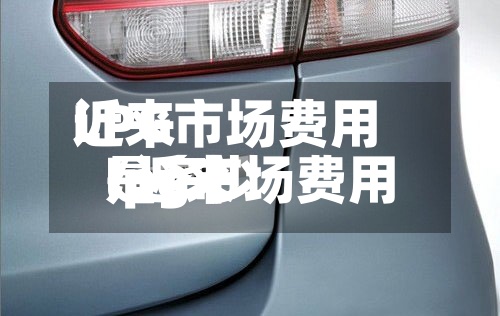 近来LPG市场费用/近来lpg市场费用是多少