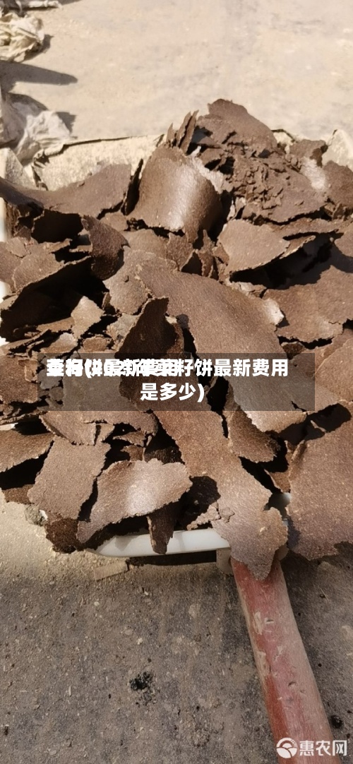 菜籽饼最新费用查询(2020年菜籽饼最新费用是多少)