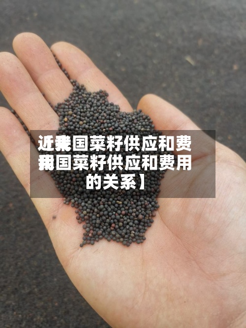近来【我国菜籽供应和费用我国菜籽供应和费用的关系】-第2张图片