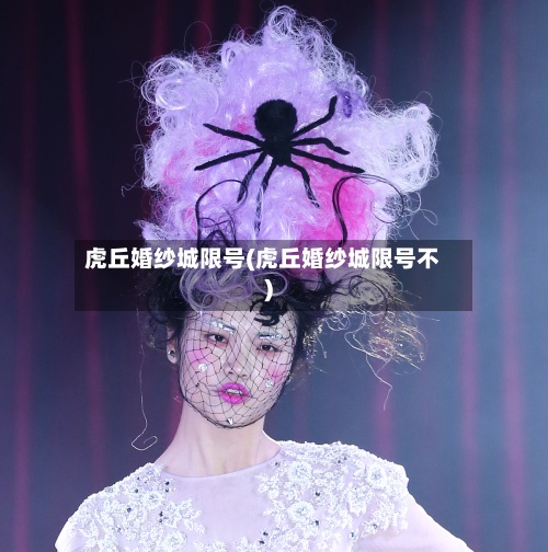 虎丘婚纱城限号(虎丘婚纱城限号不)-第2张图片