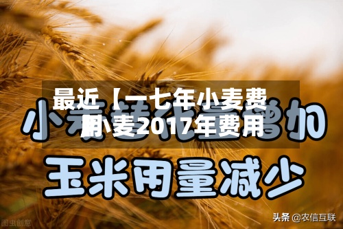 最近【一七年小麦费用,小麦2017年费用】