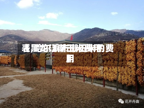 【黑龙江潮玉米费用表,哈尔滨市潮玉米的费用】
