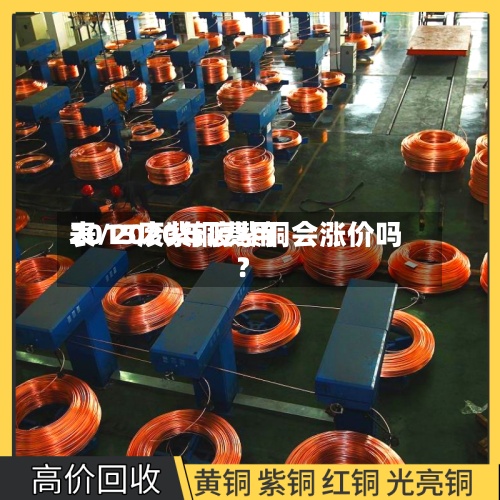 2015废紫铜费用
表/2020年废紫铜会涨价吗?-第2张图片