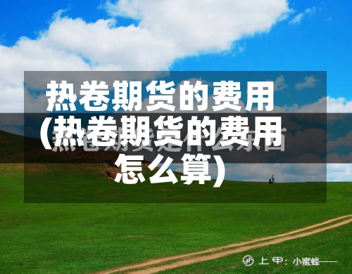 热卷期货的费用(热卷期货的费用怎么算)-第2张图片