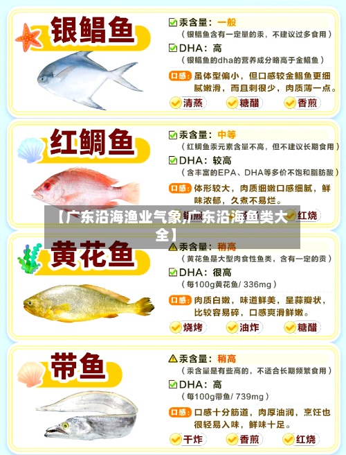 【广东沿海渔业气象,广东沿海鱼类大全】-第2张图片