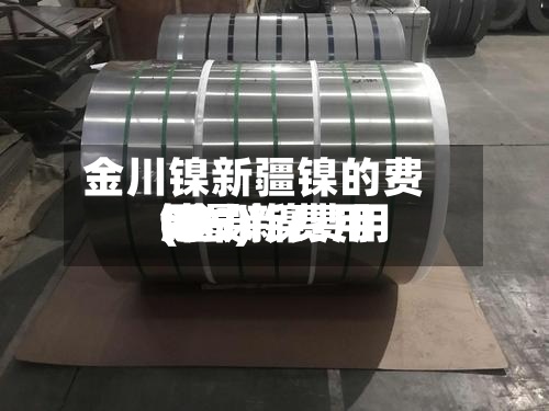 金川镍新疆镍的费用
(金川镍费用
镍最新费用
999)-第2张图片