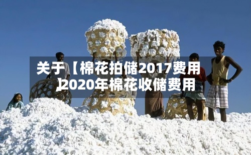 关于【棉花拍储2017费用,2020年棉花收储费用】