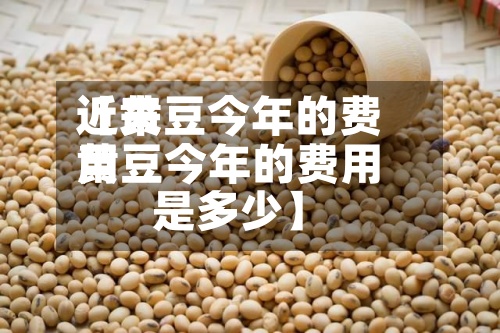 近来【黄豆今年的费用黄豆今年的费用是多少】