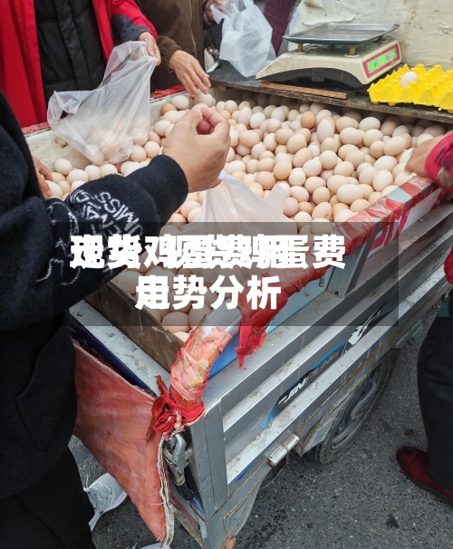 现货鸡蛋费用走势/现货鸡蛋费用走势分析-第3张图片