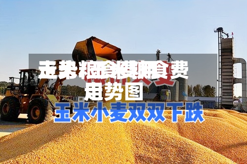 玉米粮食费用走势/玉米粮食费用走势图