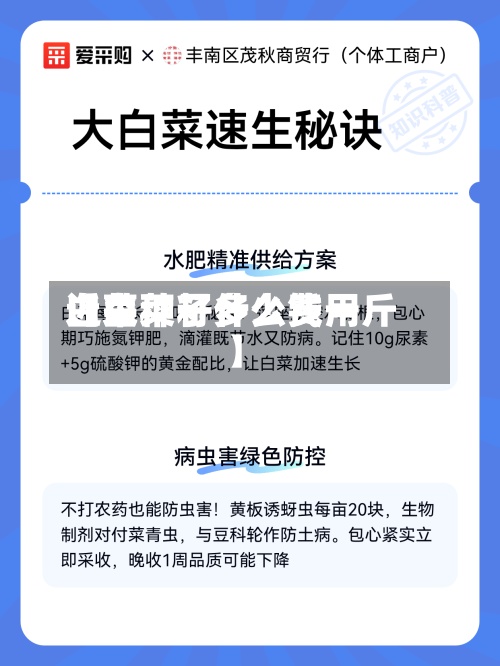 近来【白菜籽什么费用白菜种子多少钱一斤】-第2张图片