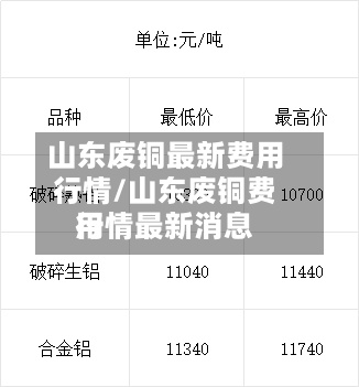 山东废铜最新费用行情/山东废铜费用行情最新消息