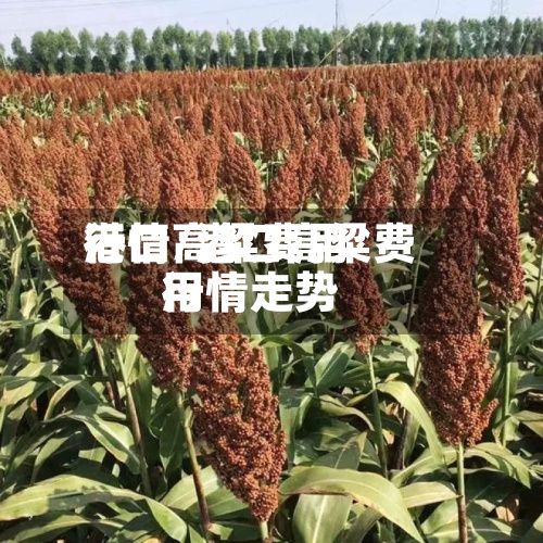 港口高粱费用行情/港口高粱费用行情走势