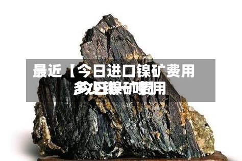 最近【今日进口镍矿费用,今日镍矿费用多少钱一吨】