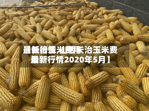 【长治玉米费用
最新行情,山西长治玉米费用
最新行情2020年5月】-第2张图片