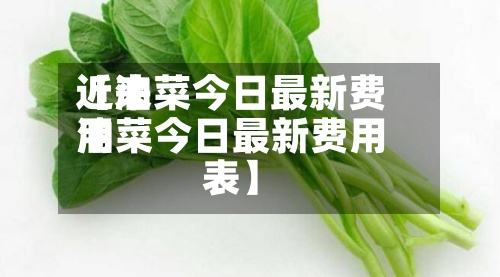 近来【油菜今日最新费用油菜今日最新费用表】-第2张图片