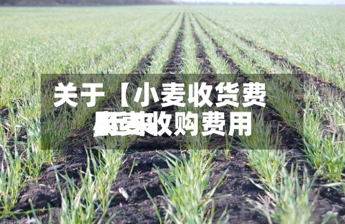 关于【小麦收货费用,近来小麦收购费用】