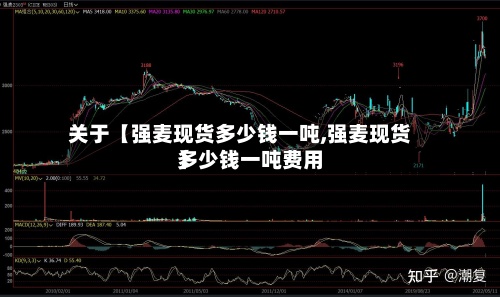 关于【强麦现货多少钱一吨,强麦现货多少钱一吨费用】
