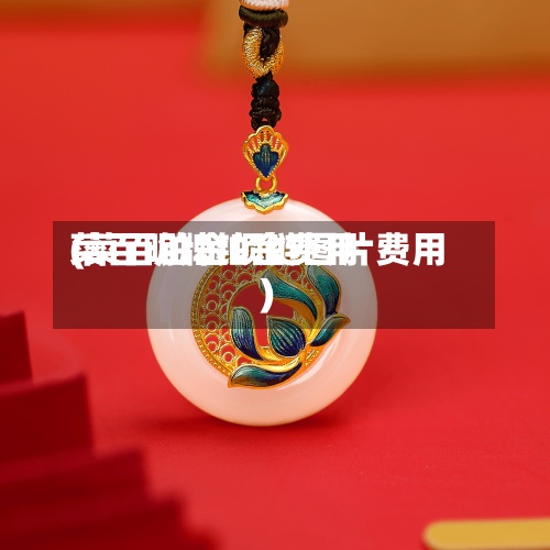菜百明牌铂金费用
(菜百铂金项链图片费用
)-第2张图片