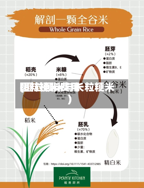 圆粒梗米费用(圆粒粳米与长粒粳米)-第2张图片