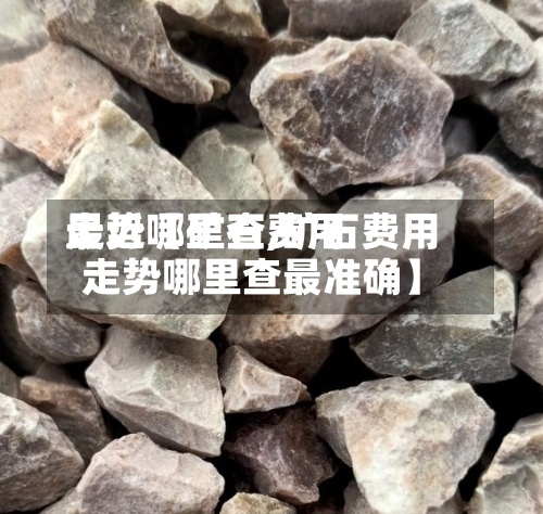 最近【矿石费用走势哪里查,矿石费用走势哪里查最准确】