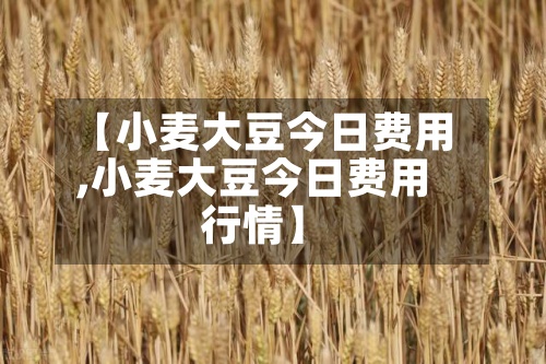 【小麦大豆今日费用,小麦大豆今日费用行情】