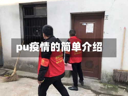 pu疫情的简单介绍