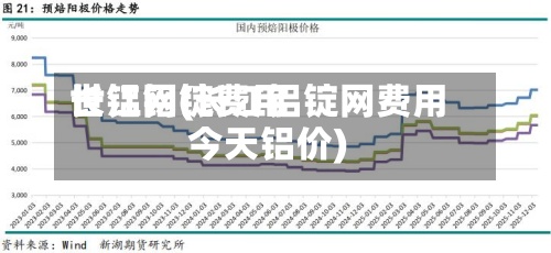 长江铝锭费用世铝网(长江铝锭网费用今天铝价)