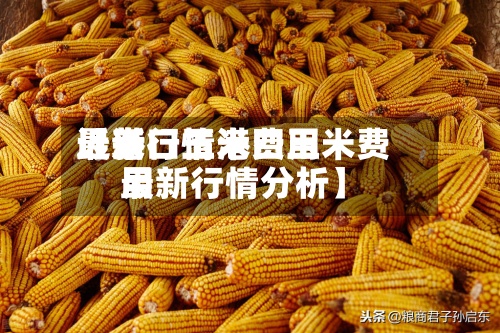 近来【港口玉米费用最新行情港口玉米费用最新行情分析】