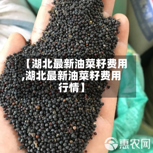 【湖北最新油菜籽费用
,湖北最新油菜籽费用
行情】-第2张图片