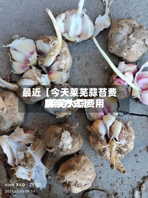 最近【今天莱芜蒜苔费用
,莱芜大蒜费用
联系方式】-第3张图片