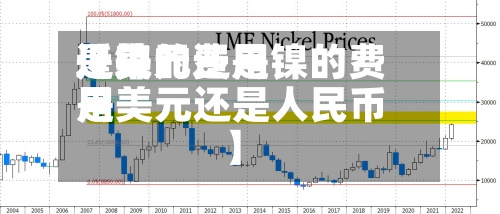 近来【镍的费用是美元还是镍的费用是美元还是人民币】