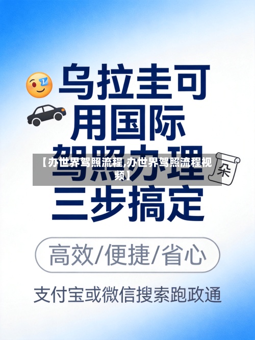 【办世界驾照流程,办世界驾照流程视频】-第3张图片