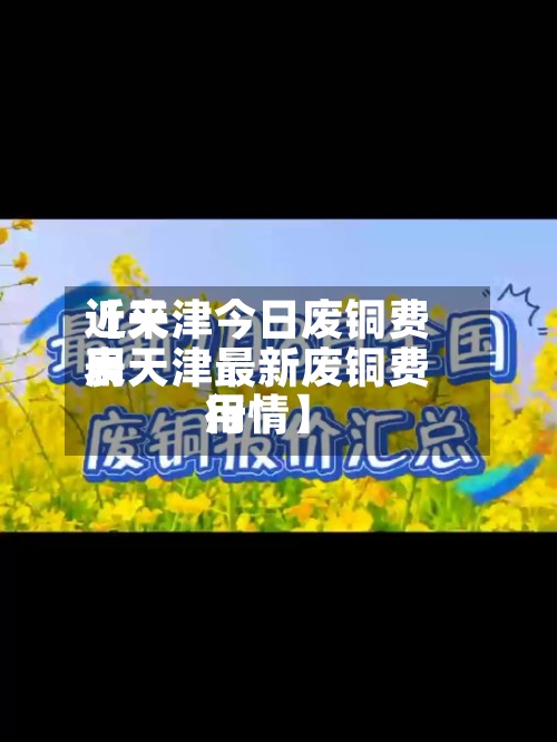 近来
【天津今日废铜费用
表天津最新废铜费用
行情】-第3张图片