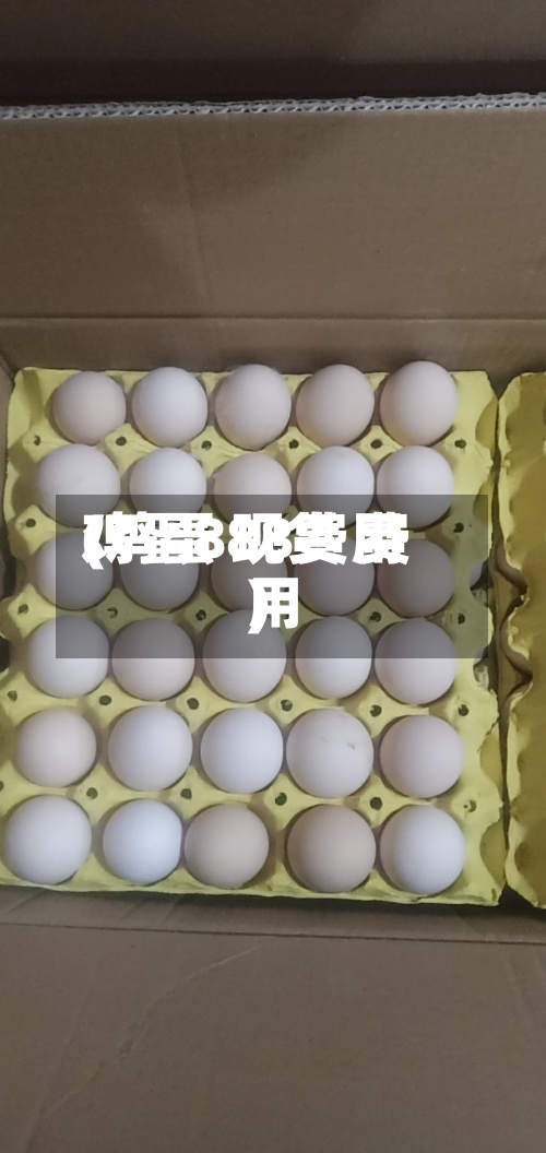 鸡蛋888费用(鸡蛋 现货 费用)-第2张图片