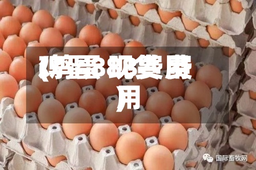 鸡蛋888费用(鸡蛋 现货 费用)-第3张图片