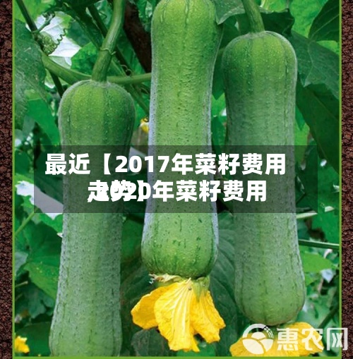 最近【2017年菜籽费用,2020年菜籽费用走势】