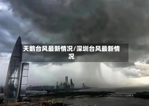 天鹅台风最新情况/深圳台风最新情况-第2张图片