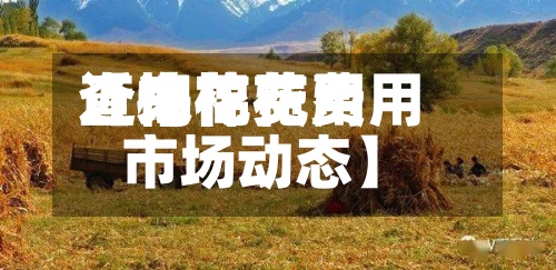 近来【棉花费用查询棉花费用市场动态】