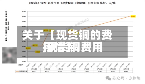关于【现货铜的费用,现货铜费用行情】-第3张图片